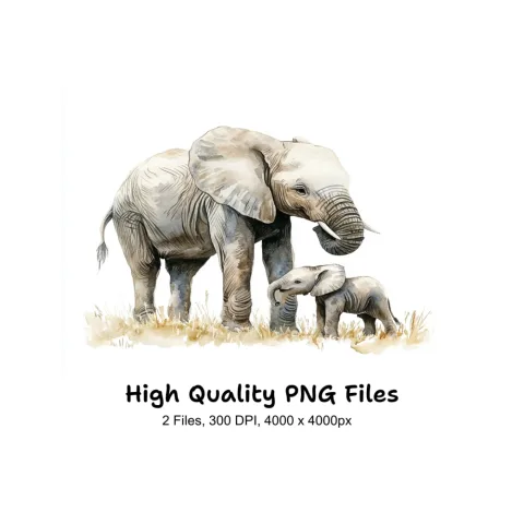 Elephant Mother and Baby Clipart Bundle