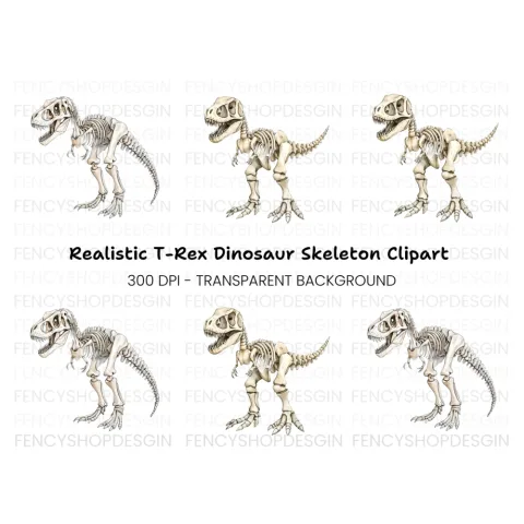 Rex Dinosaur Skeleton Clipart Bundle