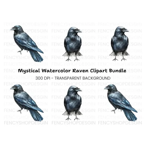 Raven Illustrations Clipart Bundle