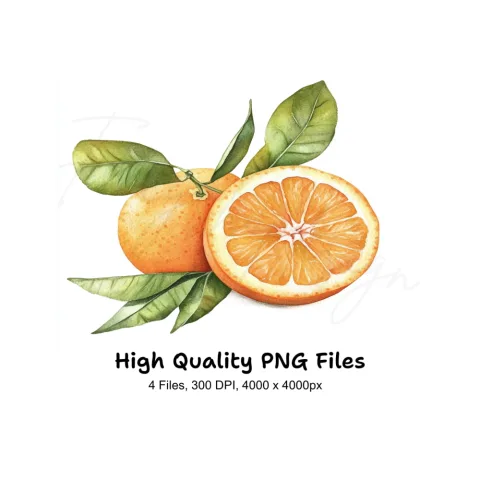 Whole and Sliced Oranges with Leaves Clipart Bundle
