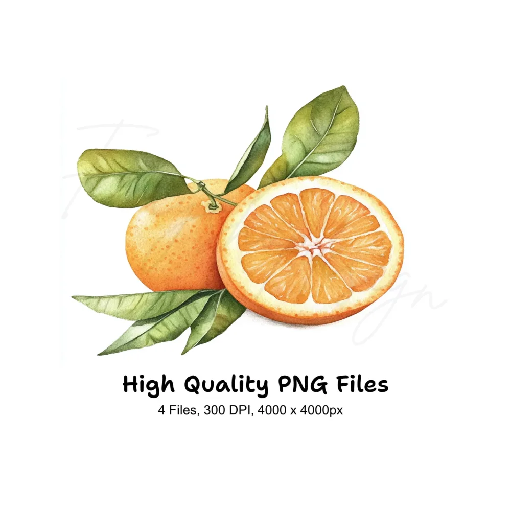 Whole and Sliced Oranges with Leaves Clipart Bundle