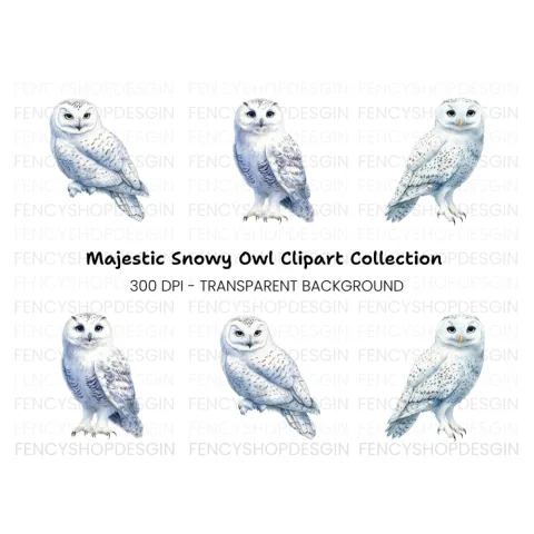 Snowy Owl Clipart Bundle