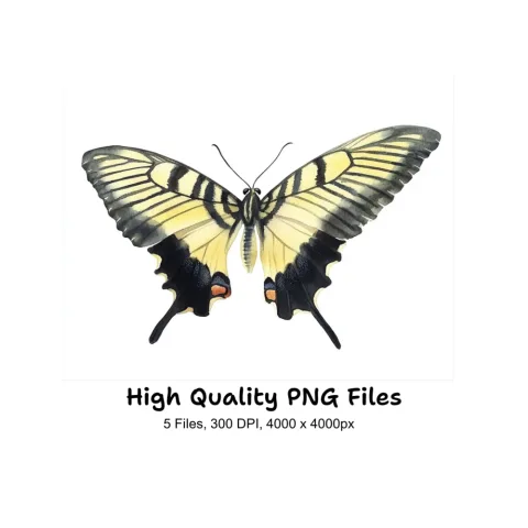 Striped Swallowtail Butterfly Clipart Bundle