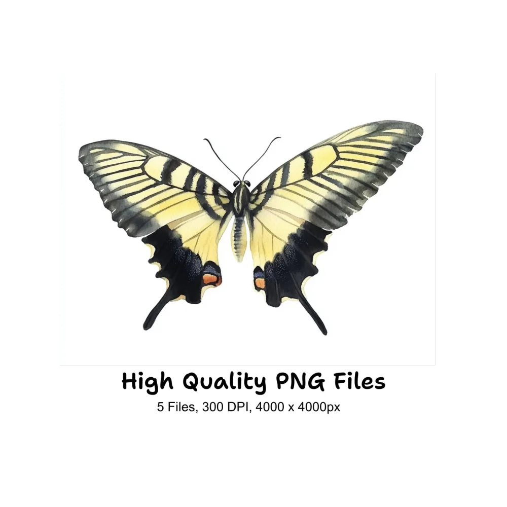 Striped Swallowtail Butterfly Clipart Bundle