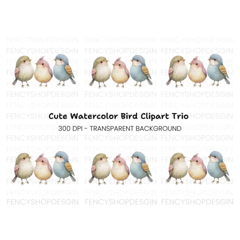 Cute Bird Clipart Bundle