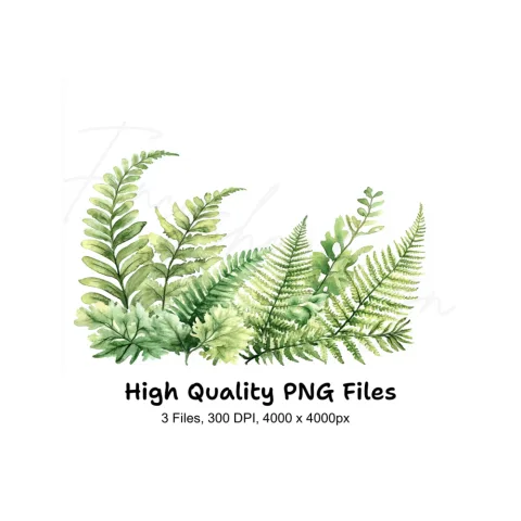 Fern Clipart Bundle