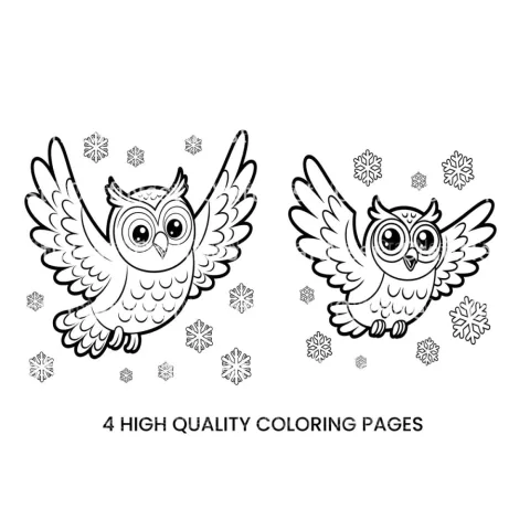 Cute Winter Owl Coloring Books