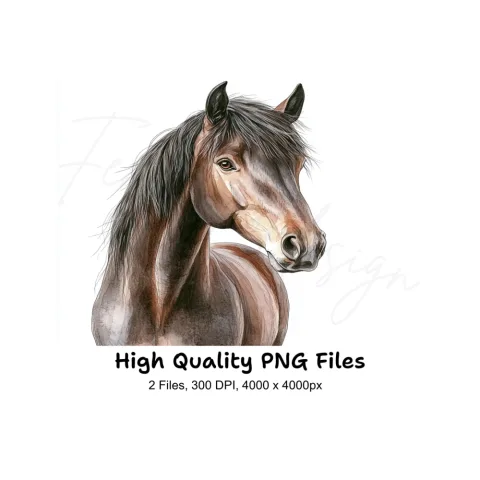 Expressive Horse Head Clipart Bundle