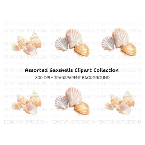 Elegant Seashells Clipart Bundle