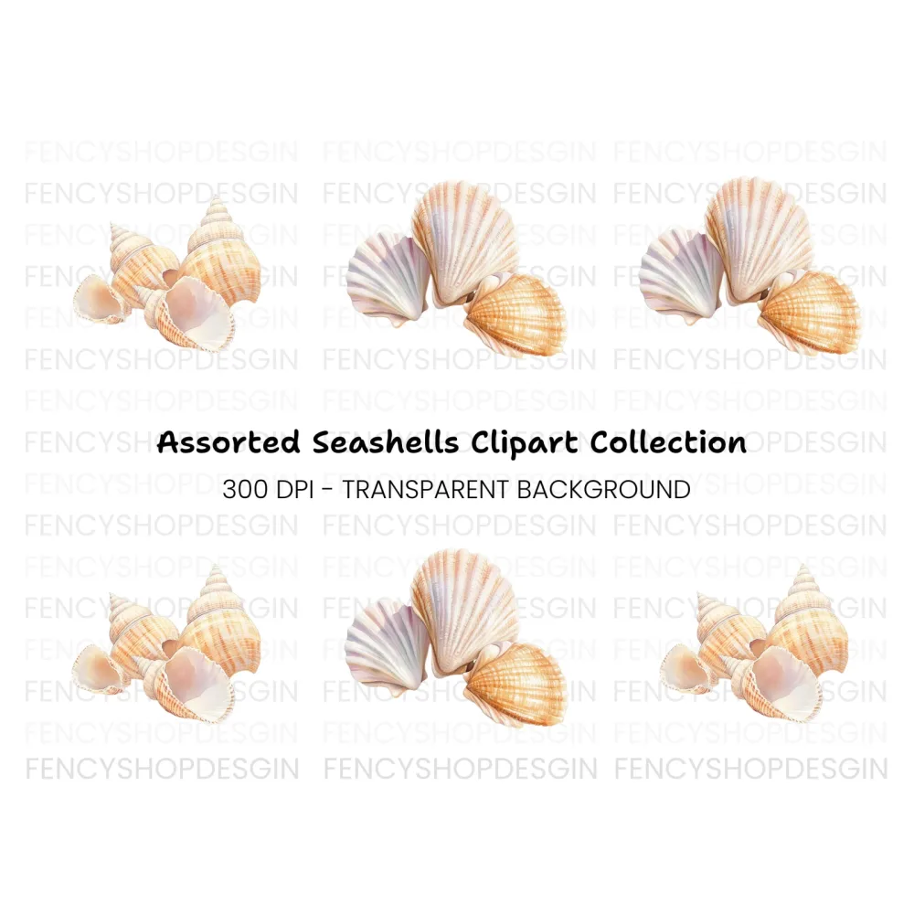 Elegant Seashells Clipart Bundle