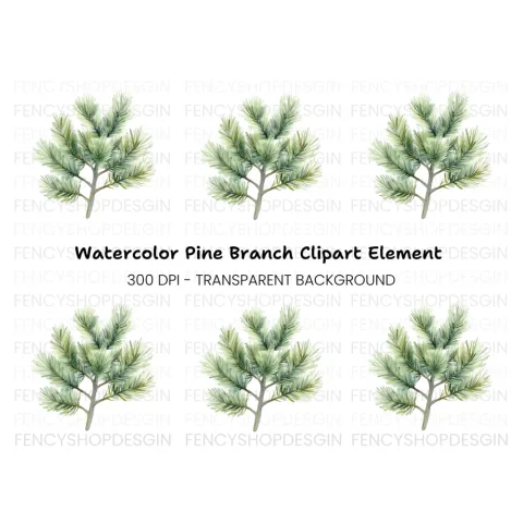 Pine Branch Clipart Bundle