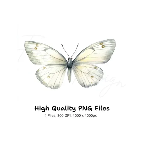 Elegant Butterfly Clipart Bundle