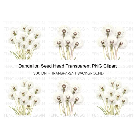 Dandelion Seed Head Clipart Bundle