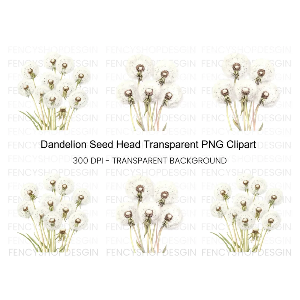 Dandelion Seed Head Clipart Bundle