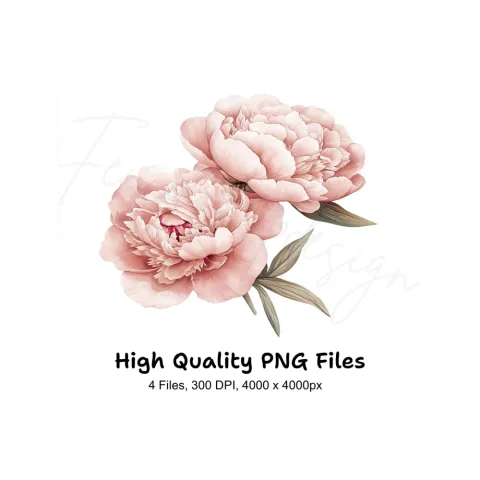 Pink Peony Bouquet Clipart Bundle