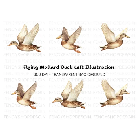 Graceful Flying Duck Clipart Bundle