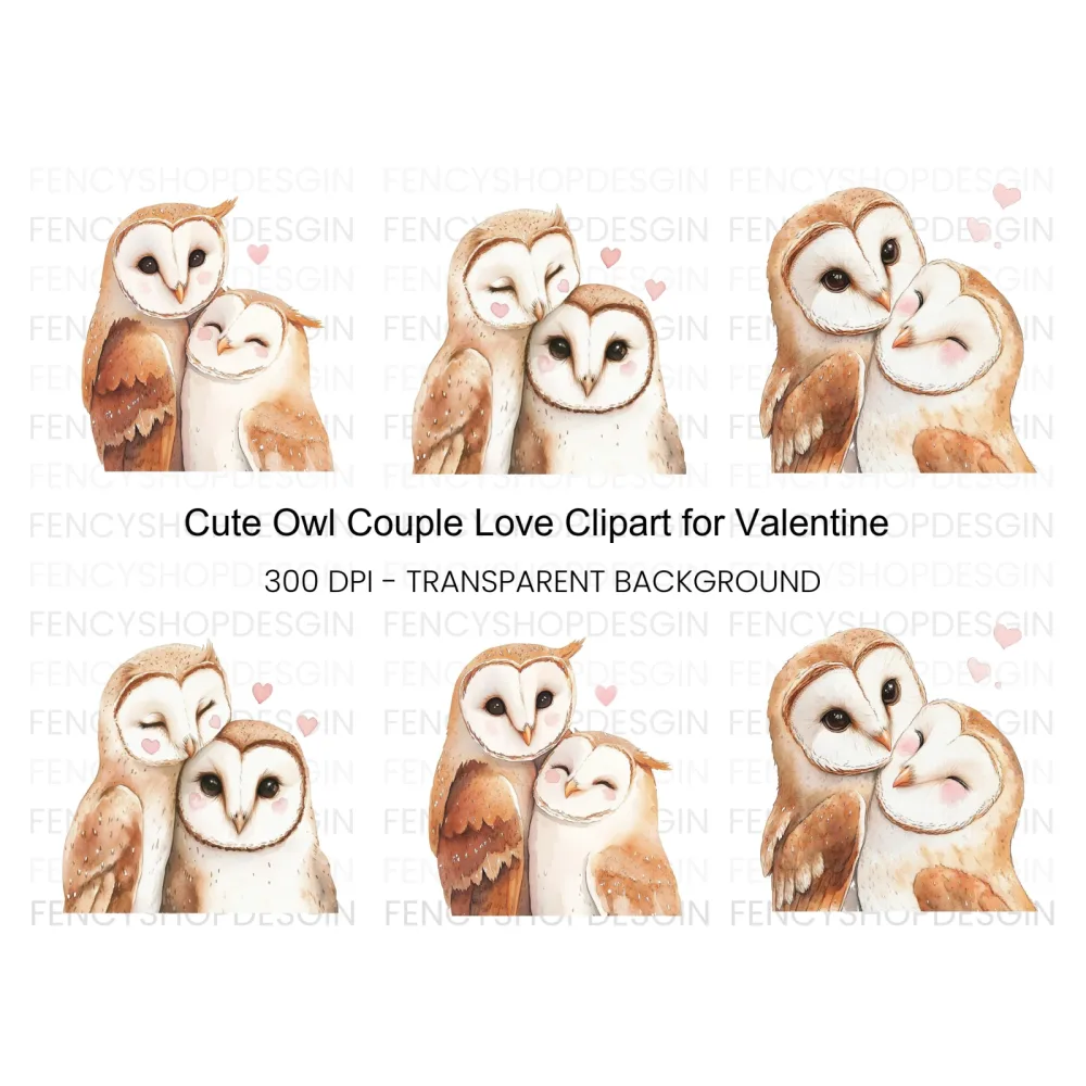 Cute Barn Owl Couple Clipart Bundle