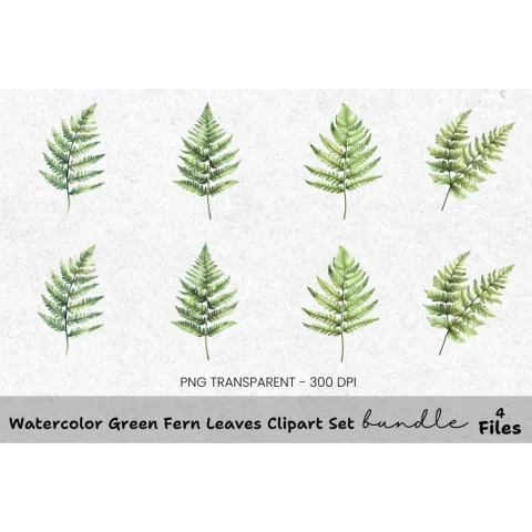 Green Fern Leaves Clipart Bundle