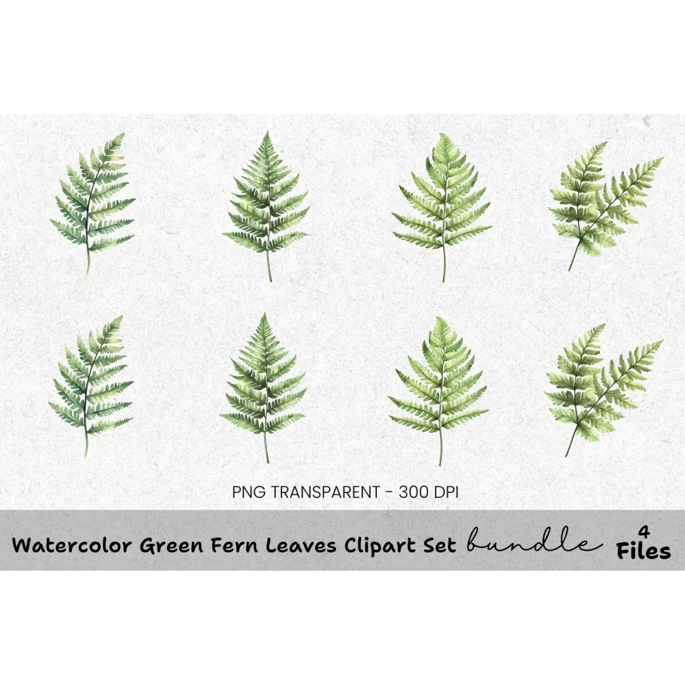 Green Fern Leaves Clipart Bundle