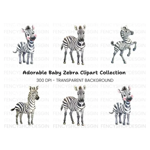 Adorable Zebra Clipart Bundle