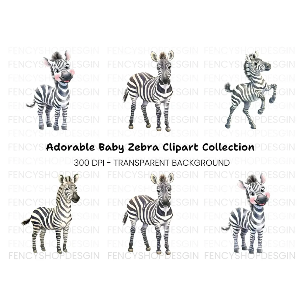 Adorable Zebra Clipart Bundle
