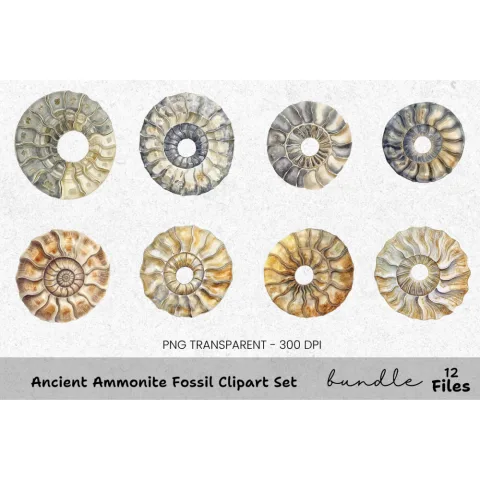 Ancient Ammonite Fossil Clipart Bundle