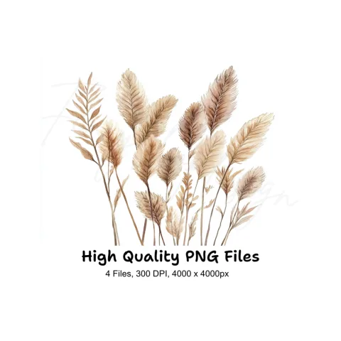 Pampas Grass Clipart Bundle