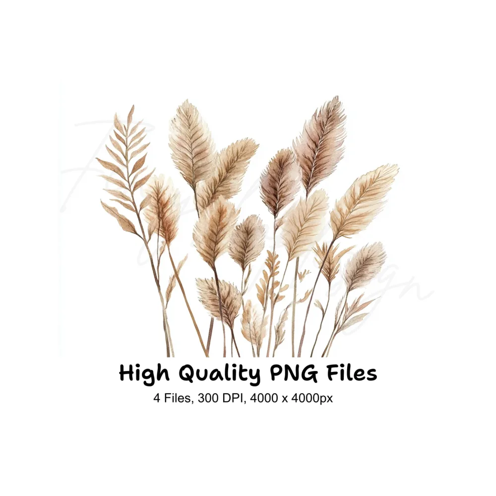 Pampas Grass Clipart Bundle