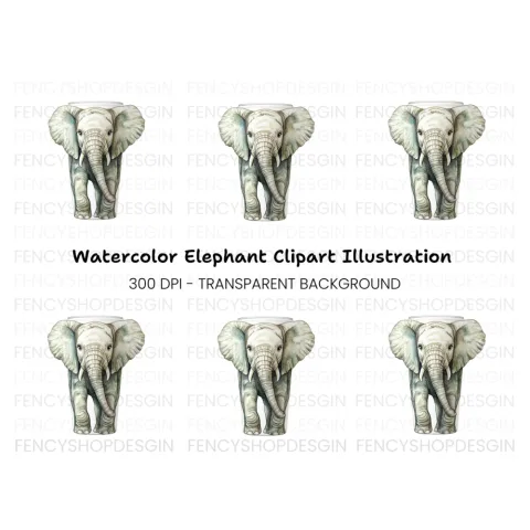 Baby Elephant Tumbler Clipart Bundle