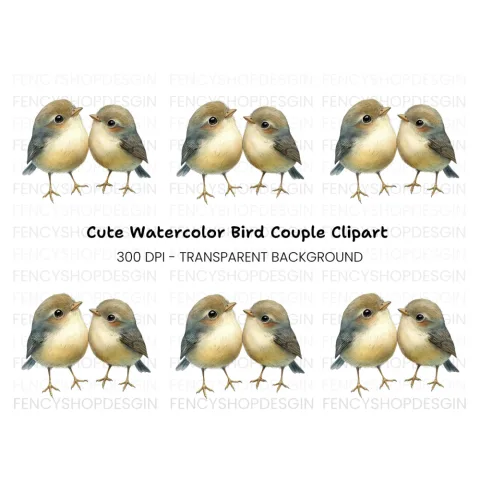 Cute Bird Couple Clipart Bundle