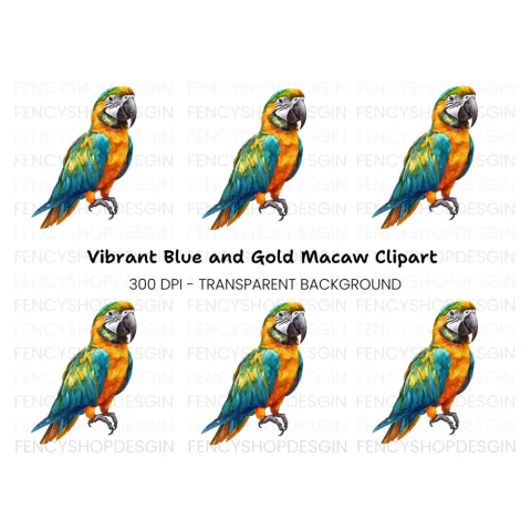 Vibrant Macaw Clipart Bundle