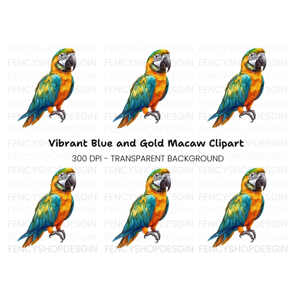 Vibrant Macaw Clipart Bundle