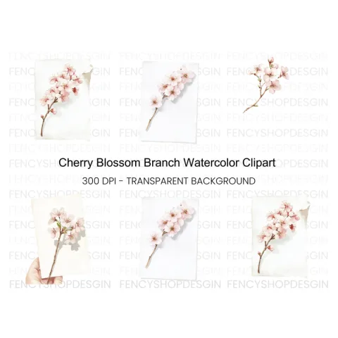 Delicate Cherry Blossom Clipart Bundle