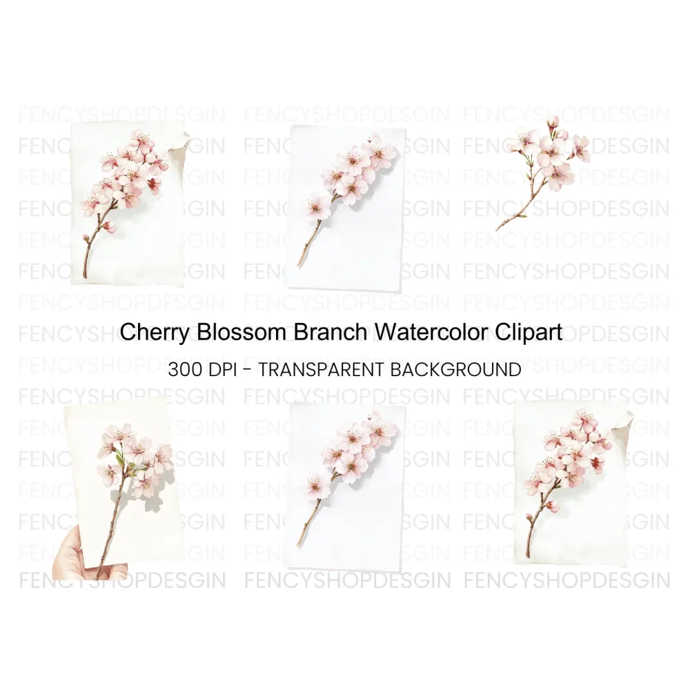 Delicate Cherry Blossom Clipart Bundle