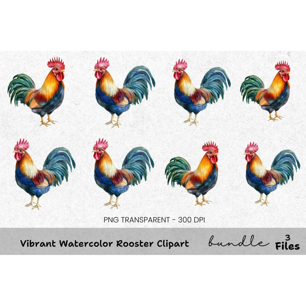 Vibrant Rooster Clipart Bundle