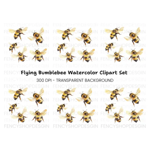 Flying Bumblebee Illustrations Clipart Bundle