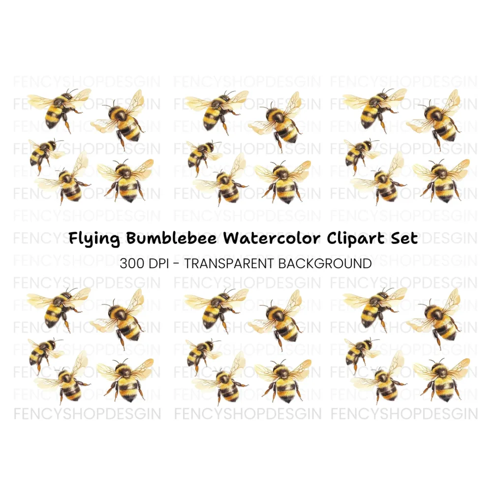 Flying Bumblebee Illustrations Clipart Bundle