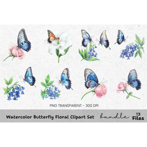 Butterfly Floral Clipart Bundle