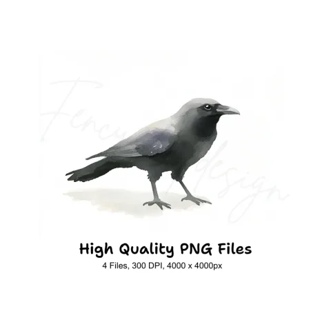 Jackdaw Bird Clipart Bundle