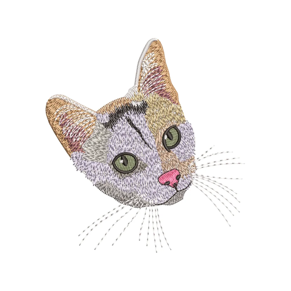 Cat Baby Embroidery Design