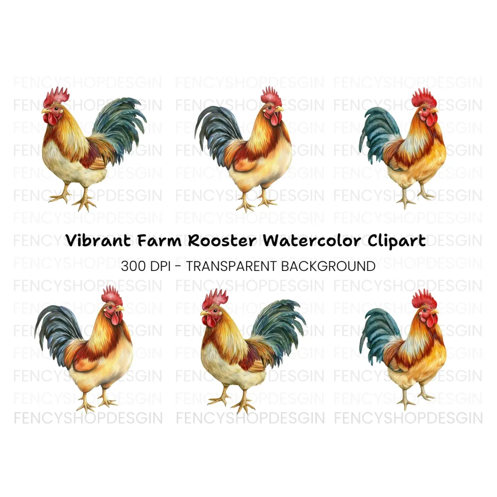 Realistic Rooster Clipart Bundle