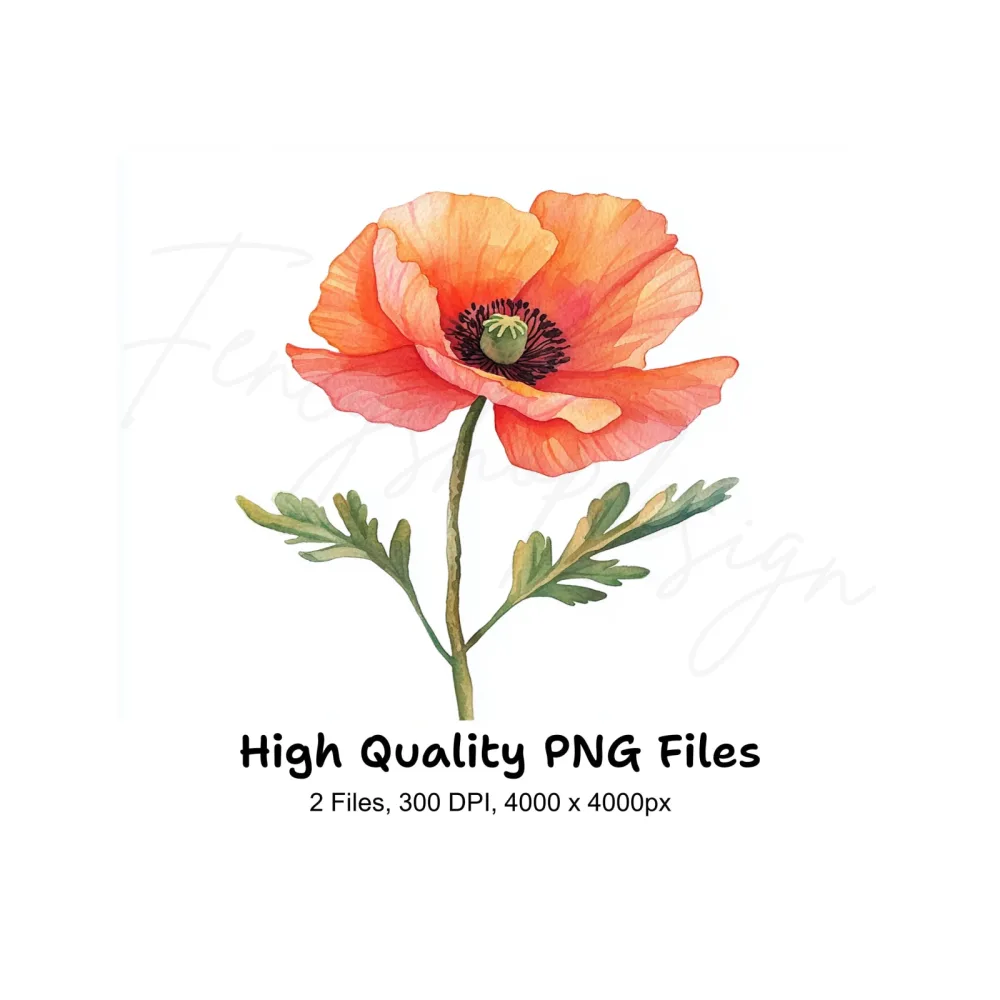 Poppy Flower Clipart Bundle
