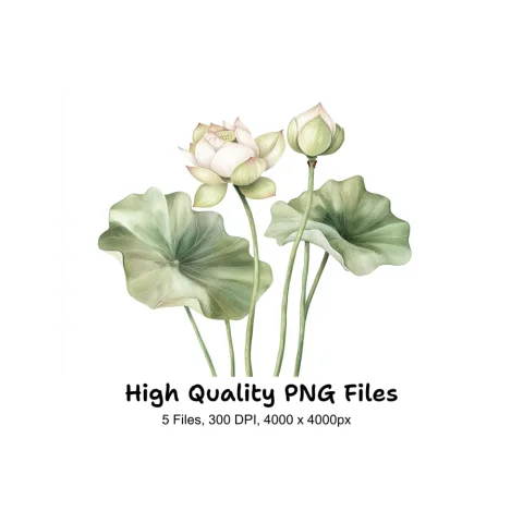 Elegant Lotus Flower Clipart Bundle