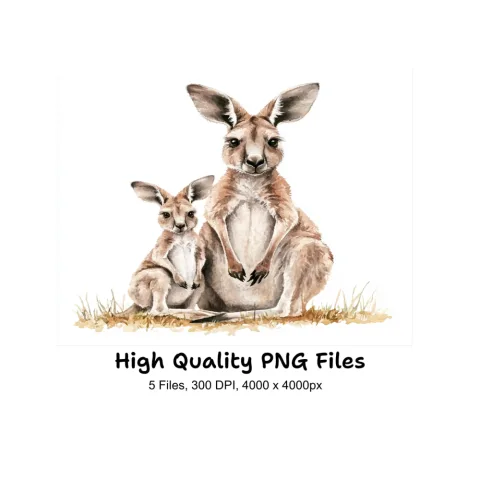 Kangaroo and Joey Clipart Bundle