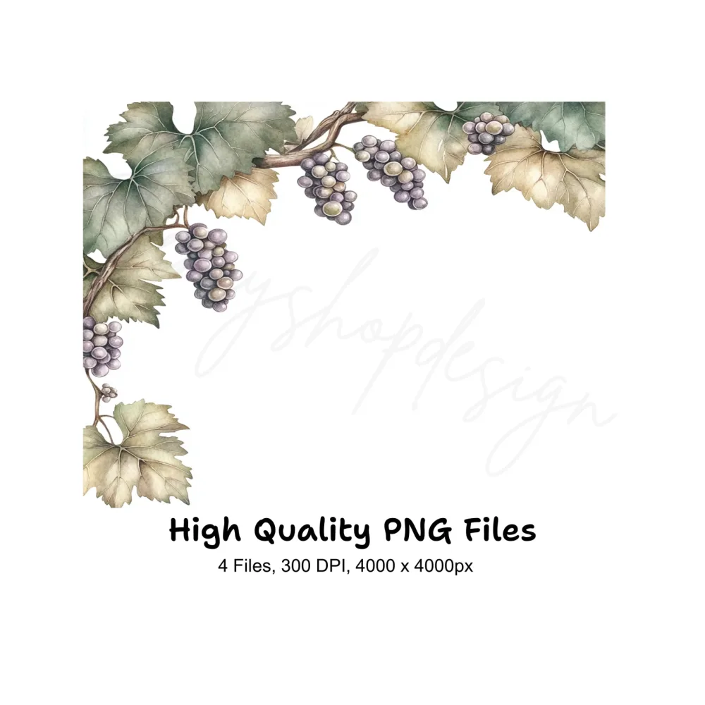 Vintage Grape Cluster Vine Elements Clipart Bundle