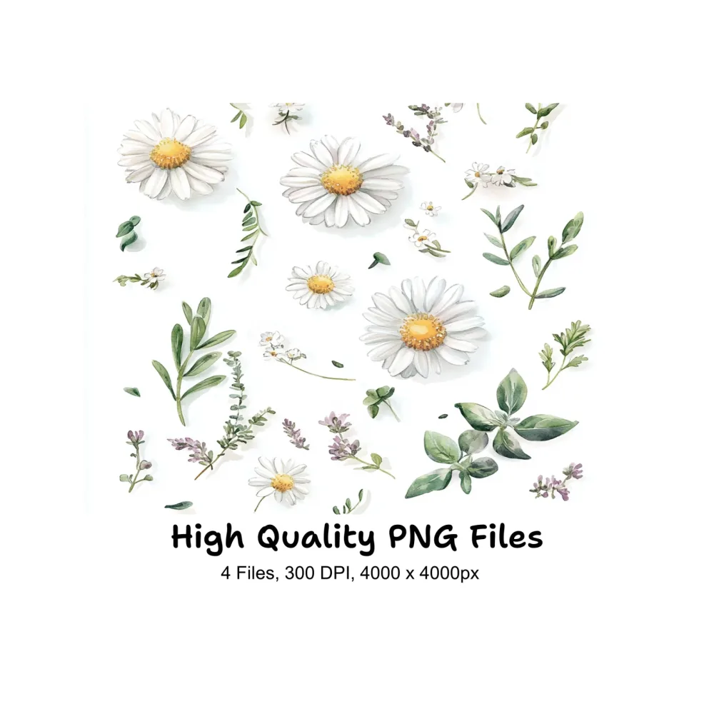 Daisy and Greenery Clipart Bundle