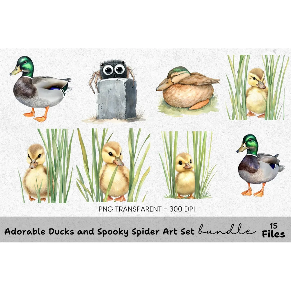 Adorable Ducks & Spooky Spider Clipart Bundle