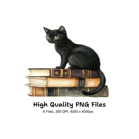 Black Cat on Books Clipart Bundle