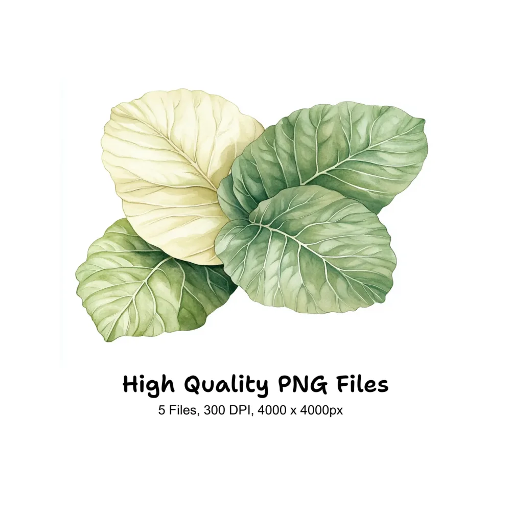 Fresh Green Leafy Vegetable Clipart Bundle