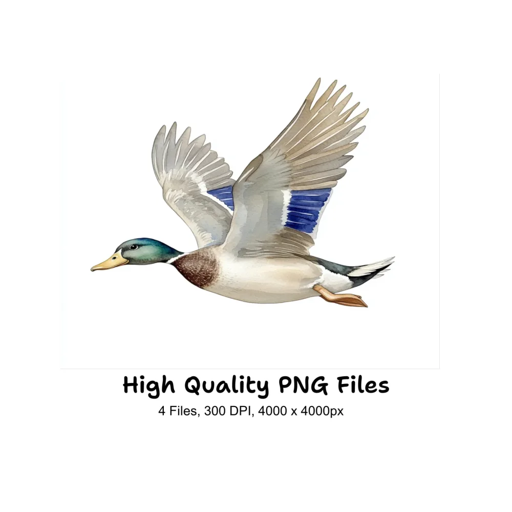 Flying Mallard Duck Clipart Bundle